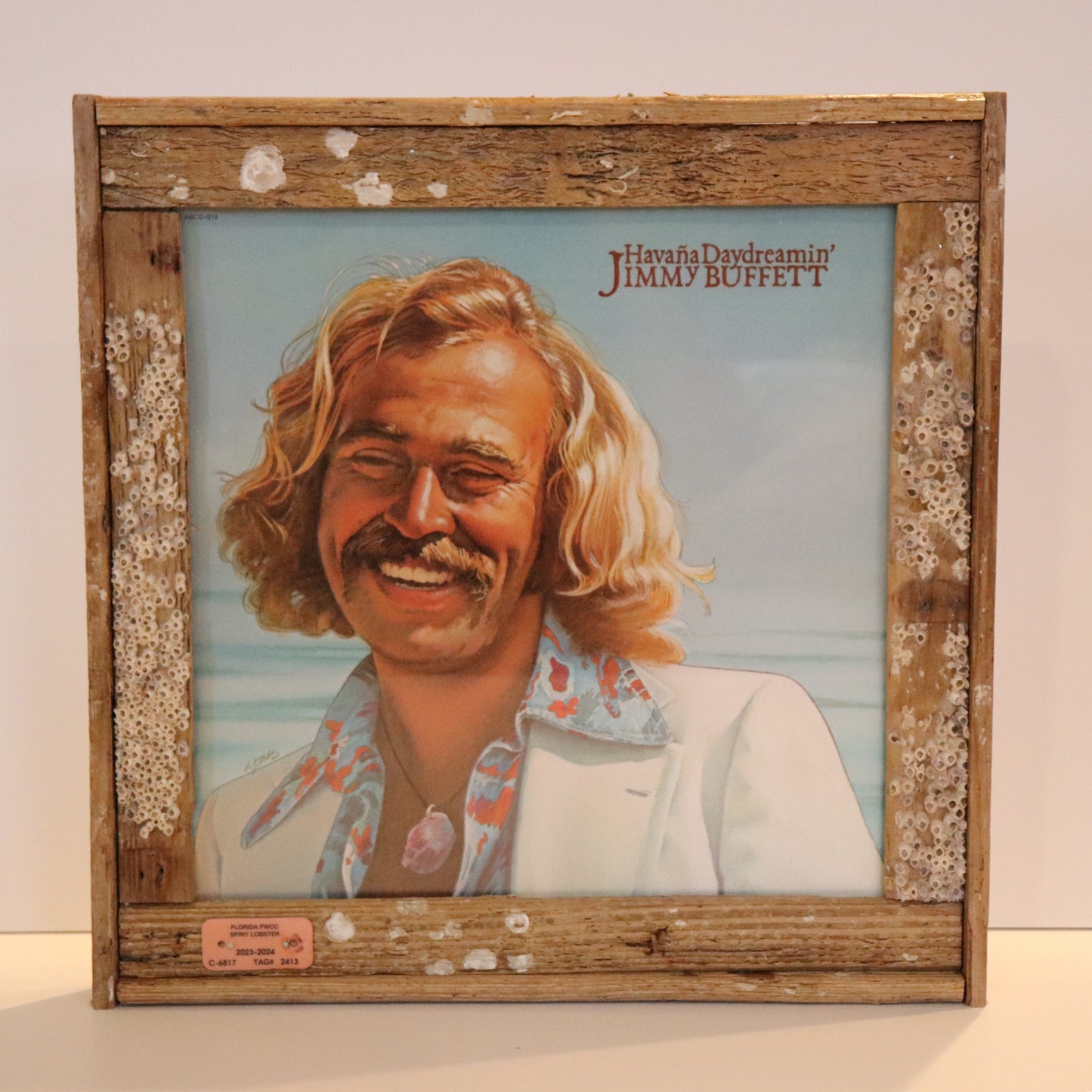 Framed Jimmy Buffet Album