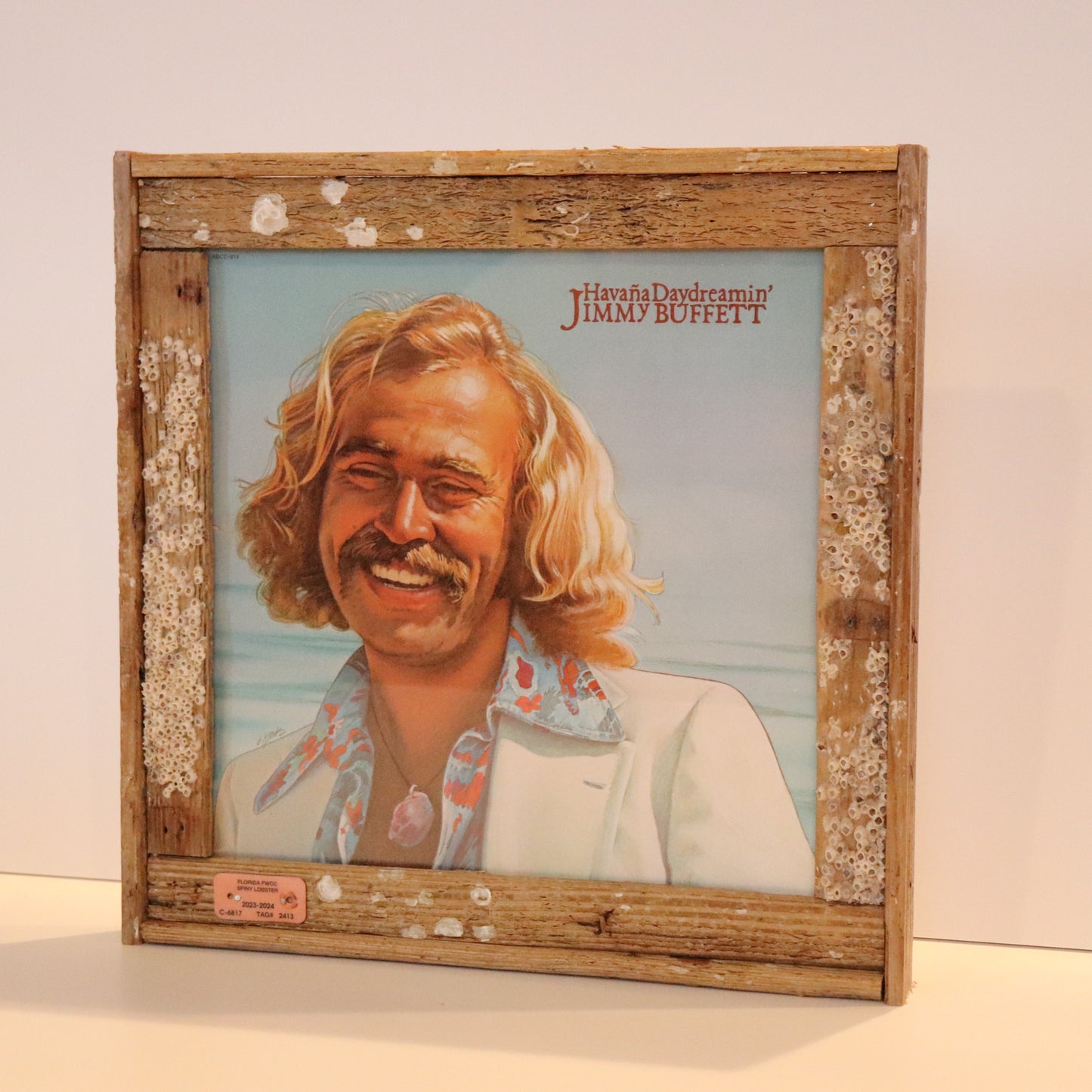 Framed Jimmy Buffet Album