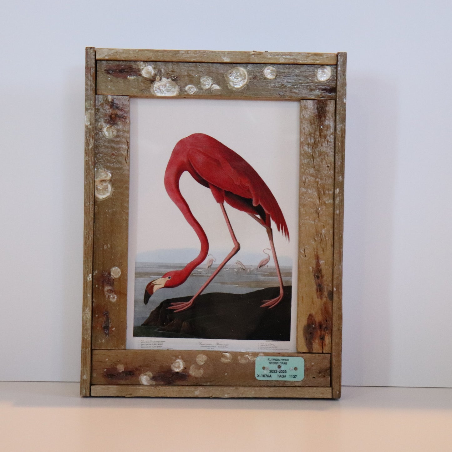 John J. Audubon Birds of America American Flamingo